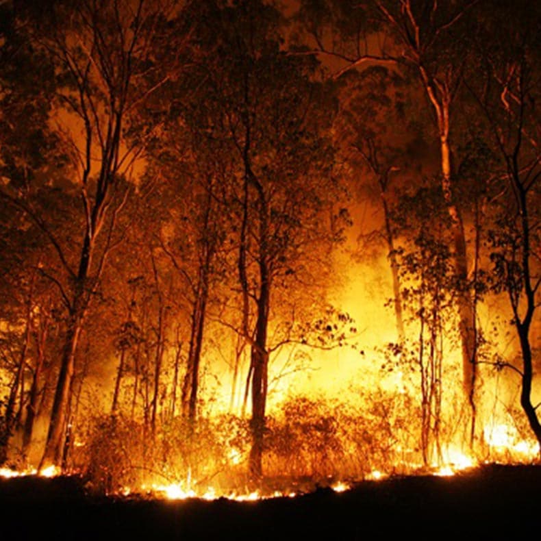 Achmea Farm Insurance Australia assists bushfire impacted customers