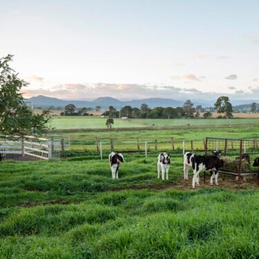 Achmea Farm Insurance and Brad Cavanagh Leadership program