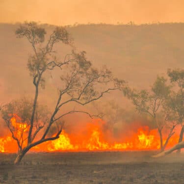 Farm Insurance against bushfires