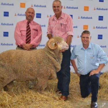 Achmea Australia Ram Insurance