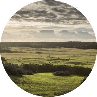 Tailored farm insurance by Achmea