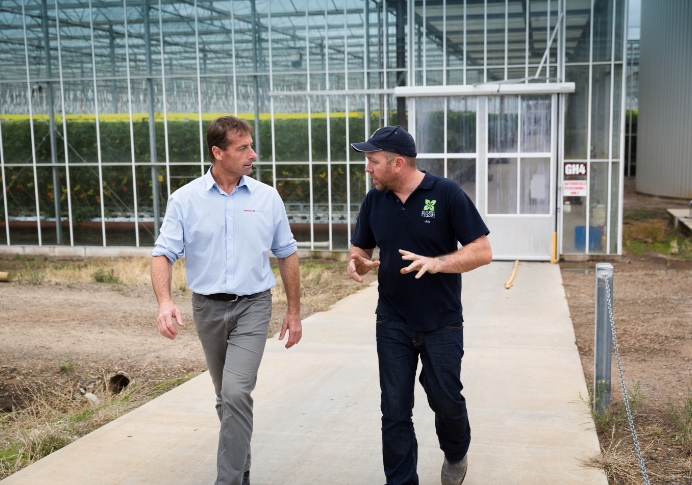 Achmea Farm Insurance Careers