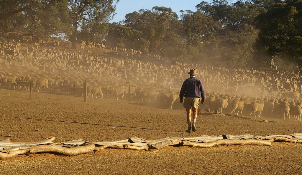 Australian-Farmer