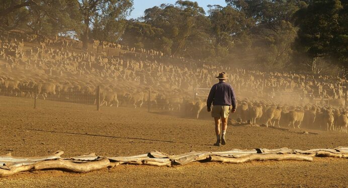 Australian-Farmer