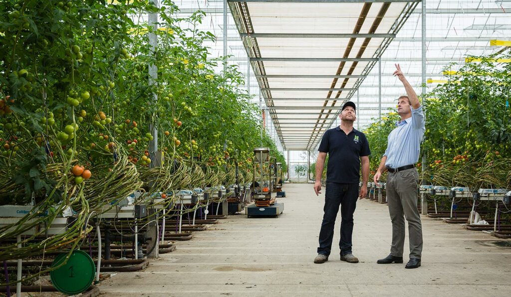 why achmea Farm Insurance Specialist walks_farm