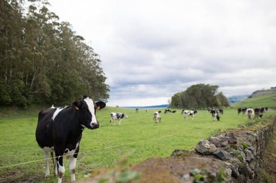 achmea supporting farmers-walcha