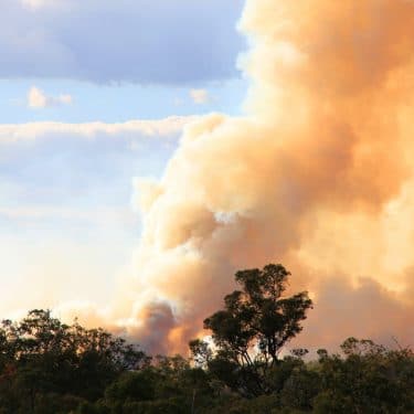Disaster Risk Reduction with Achmea Farm Insurance