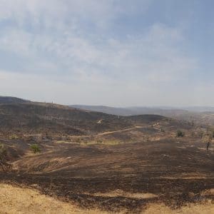Bushfire-destroyed farm land