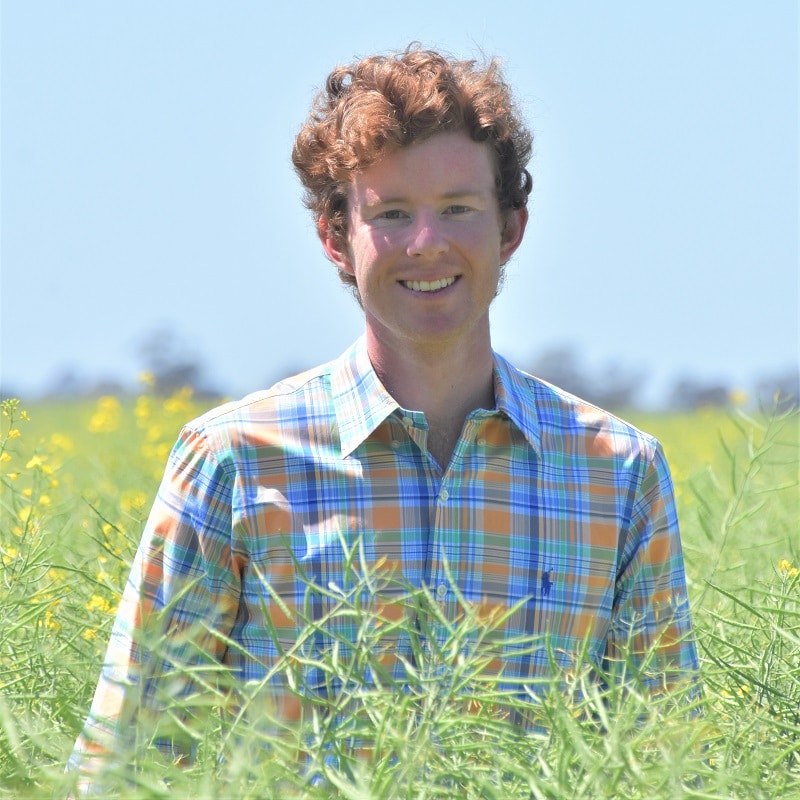 Wade Schifferle