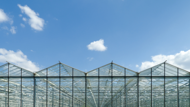 Glasshouse
